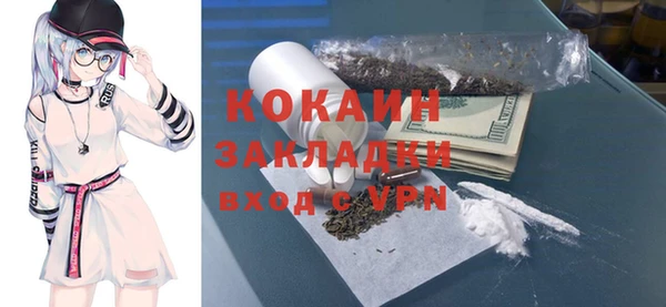 винт Гусь-Хрустальный