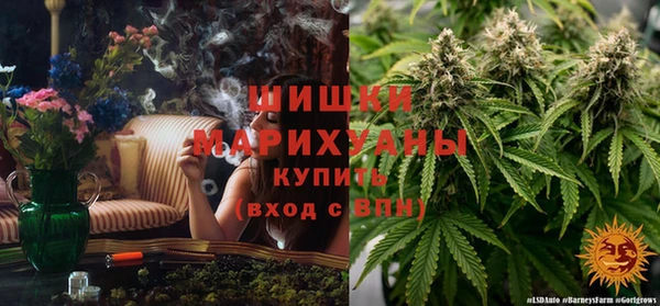 бошки Гусиноозёрск