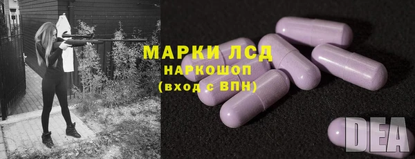 винт Гусь-Хрустальный