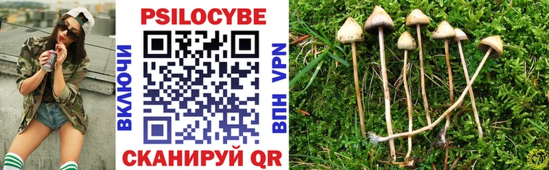 Галлюциногенные грибы прущие грибы  Пикалёво 